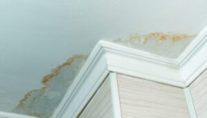 hidden water damage signs